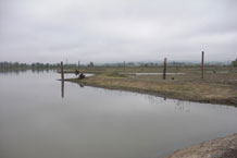 Fernhill South Wetlands