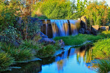 Talking Water Gardens